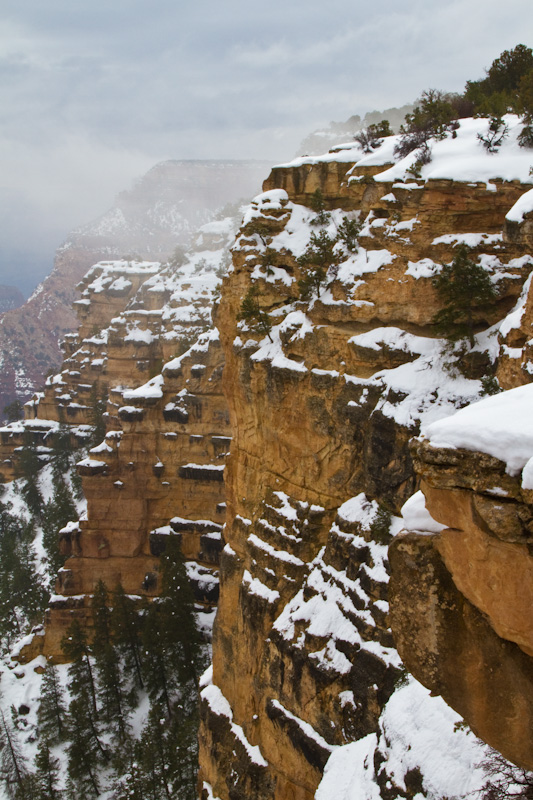 The Grand Canyon